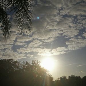 Meet your Posher, Jasna